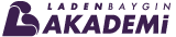 Laden Baygın